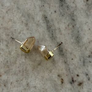 Gold and Brown Stone Earrings
